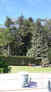 Relaxing At Trees 169x300