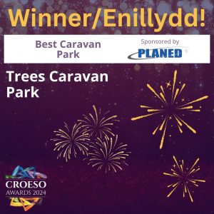 best caravan park trees caravan